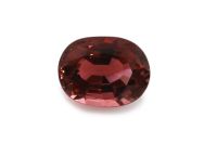 Wholesale 2.68 ct - Pink Tourmaline Oval 8 x 10 mm