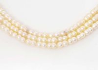 Japanese Akoya Twin Pearls – 4-4.5mm Wholesale Strand