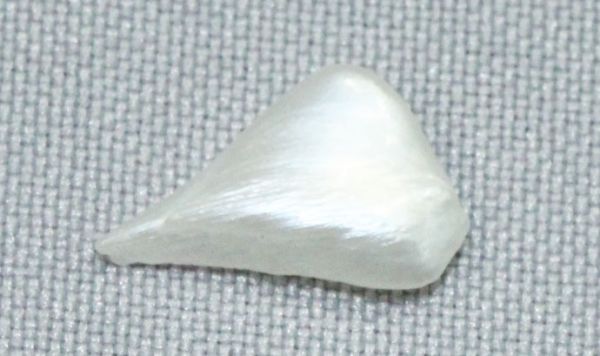 Antique Natural Pearl - 0.54 ct.