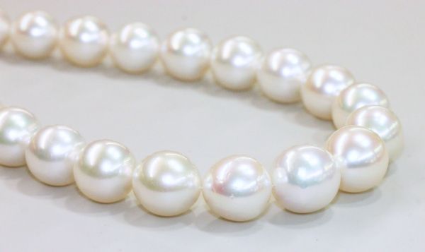 wholesale 14-16.1mm South Sea Pearl Strand