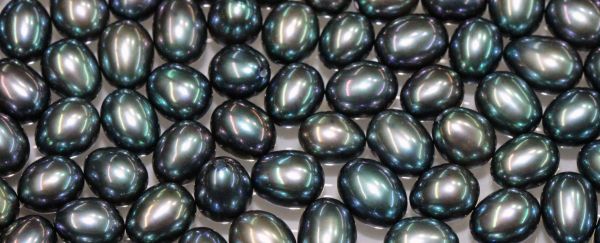 5-5.5mm Peacock Oval HD Pearls