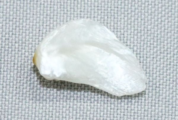 Antique Natural Pearl - 1.05 cts.