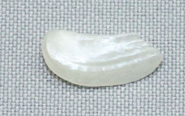 Antique Natural Pearl - 0.58 ct.