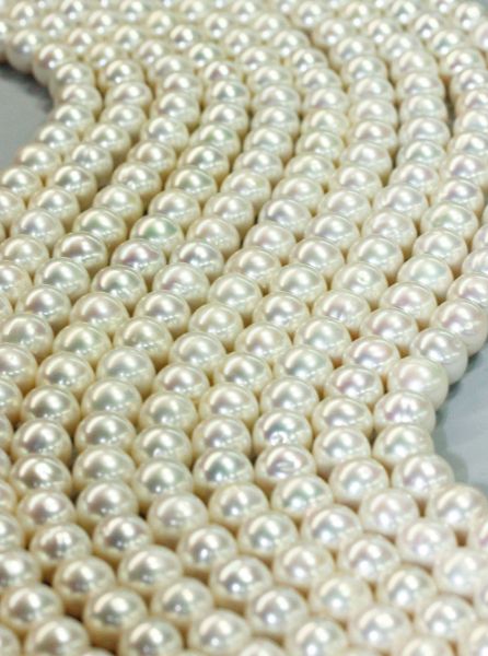 10mm White Rounded Pearls @ $99.50