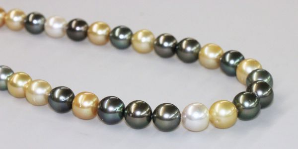 Captivating 10-11.7mm Round Multi-color Tahitian Pearls