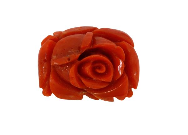 Carved Oxblood Coral Rose 