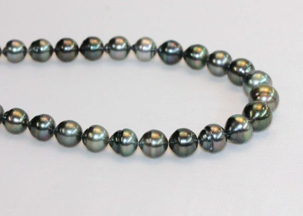 Tahitian Pearls 