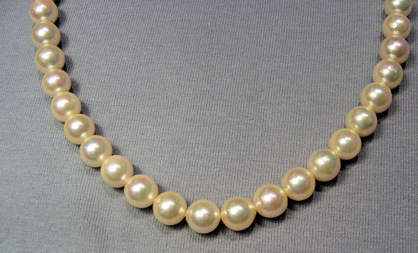 8-8.5mm Natural Color Light Golden Round Japanese Pearls