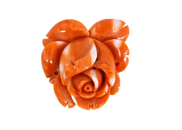 Striped Natural Coral Rose Hand-Carved