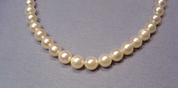 8-8.5mm Japanese akoya Pearl strands