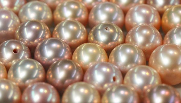 Freshwater Pearl Natural Color Round Half-Drilled 