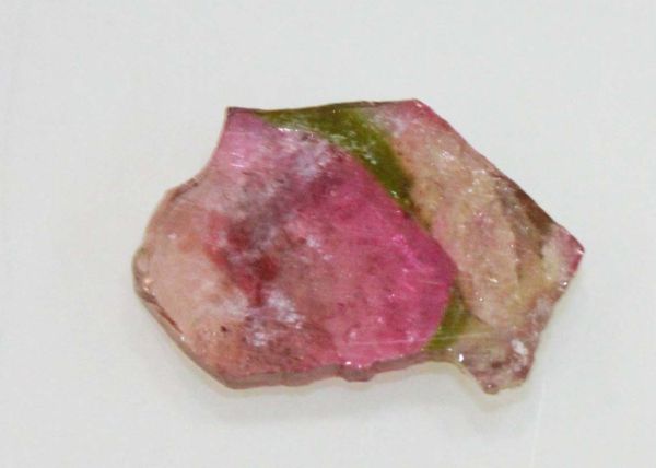 Watermelon Tourmaline Slice - 9.53 cts.