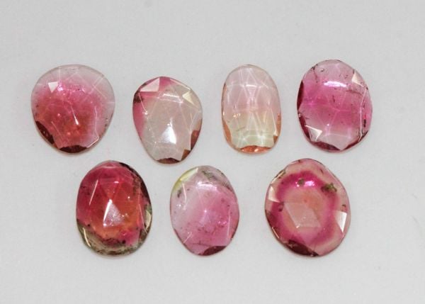 Tourmaline Rose-cut Slices - Lot of 7 - 11.46 cts.