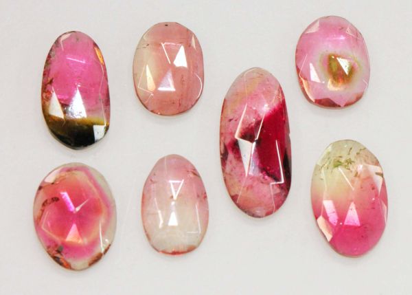 Tourmaline Rose-Cut Slices, 12.48 cts. - Lot of 7