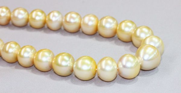 Wholesale 12-15mm Golden Pearl strands