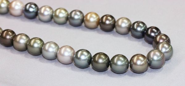 Exquisite 10-11.1mm Natural Multi-Color Tahitian Pearl Rounds