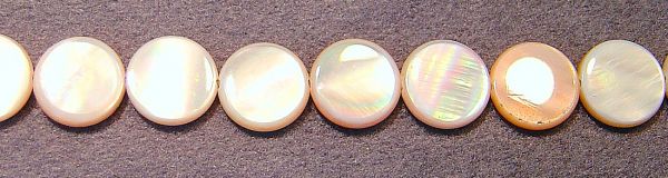 Pink Shell Coins
