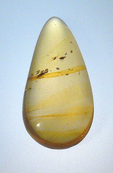 Fossil Amber with Insects - 2.51 gr.