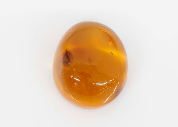 Natural Amber Fossil with Insects, 5.58 gr. - 22.7x27.8mm
