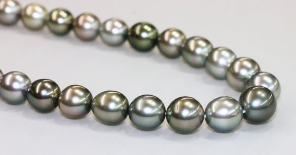 8-11mm Natural Multi-Color Tahitian Pearls @ $1995.00