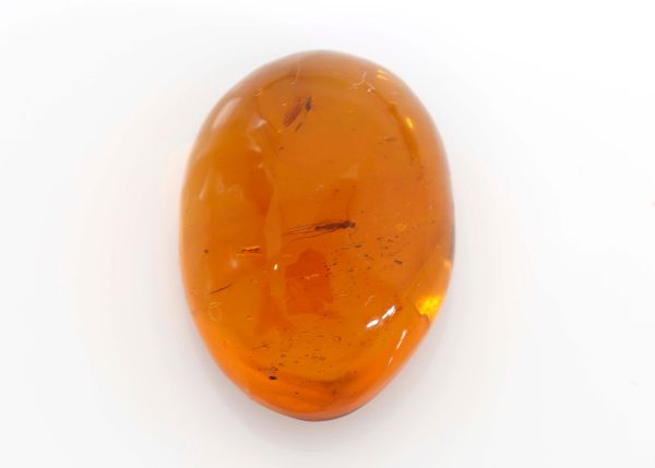 Natural Amber Fossil with Insects,  4.43 gr. - 20.7x28.9mm