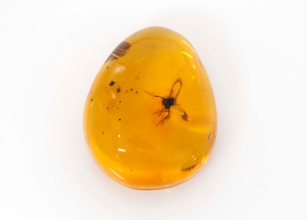 Natural Amber Fossil with Insects, 3.59 gr. - 20.6x26mm