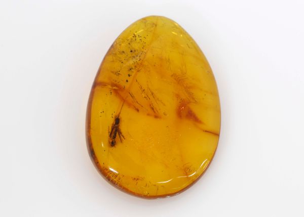 Natural Amber Fossil with Insects, 3.01 gr. - 22.5x31.6mm
