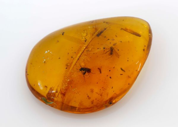 Natural Amber Fossil with Insects, 9.74 gr. - 31x43mm