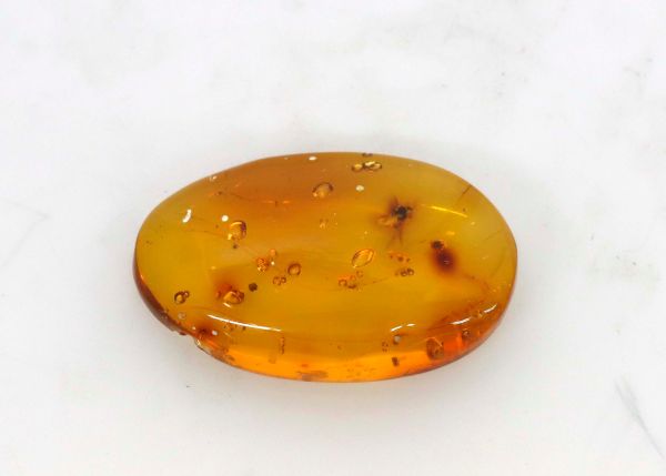 Natural Amber Fossil with Insects, 1.01 gr. - 13x21mm
