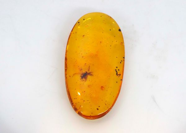 Natural Amber Fossil with Insects, 3.23 gr. - 20x37.2mm
