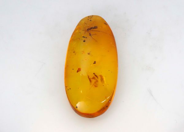 Fossil Amber with Insects - 2.63 gr.