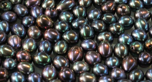 Peacock Freshwater Pearls