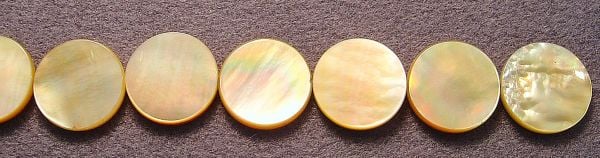 Golden Shell Round Discs