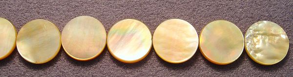 Golden Shell Round Discs Bead Strands