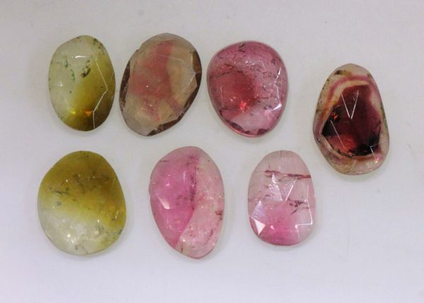 Tourmaline Rose-Cuts, 18.91 cts. - Lot of 7 