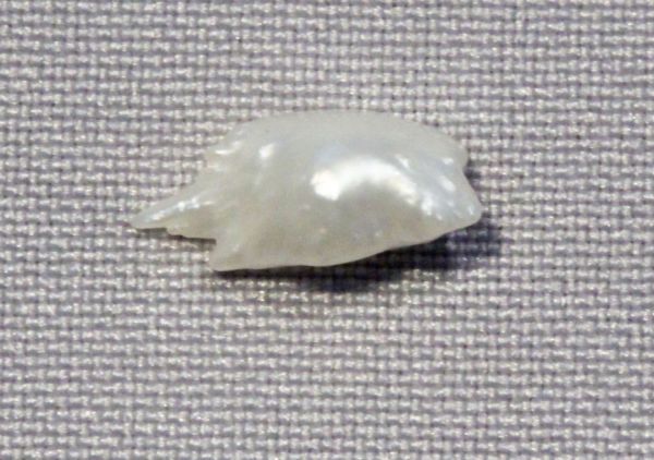 Antique Natural Pearl - 1.19 cts.