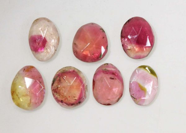 Tourmaline Rose-Cuts, 13.56 cts. - Lot of 7