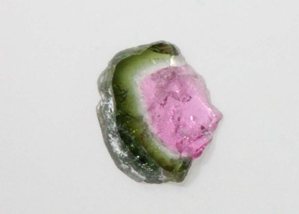 Watermelon Tourmaline Slice, 1.56 cts. - 7.5x10.3mm