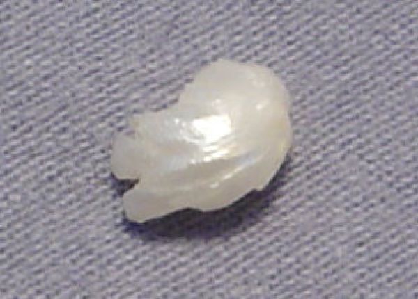 Antique Natural Pearl - 0.99 ct.