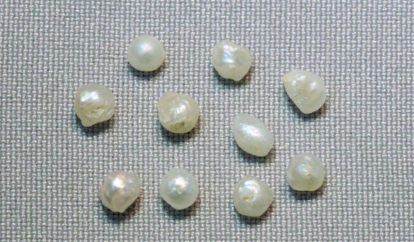 Antique Natural Pearls - Lot #08