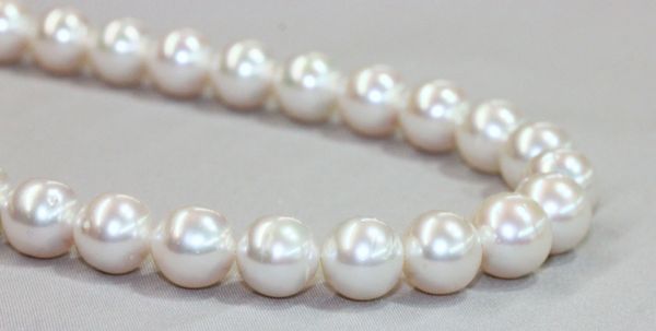 10-12mm South Sea Round Pearls