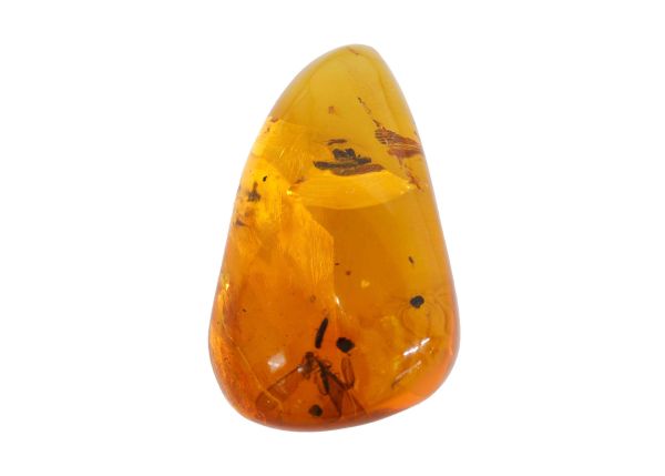 Fossil Amber with Insects - 5.70 gr.