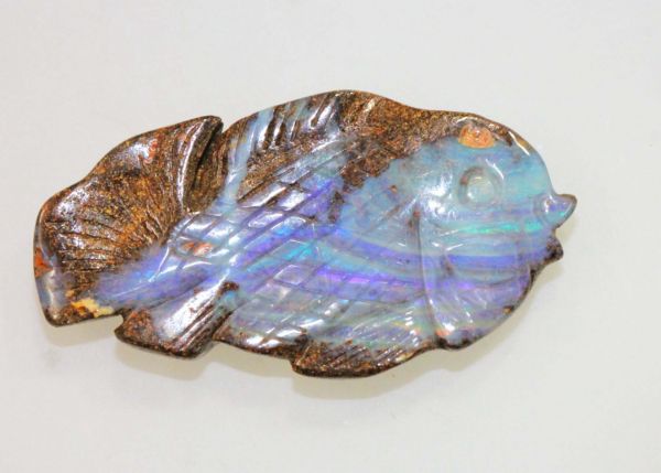 Boulder Opal: Fish