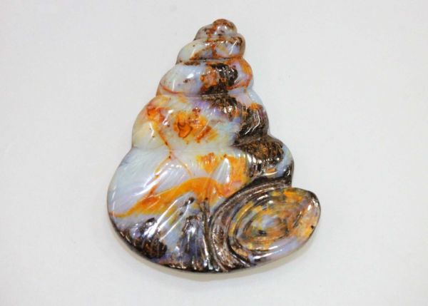 Boulder Opal: Snail