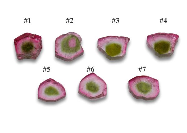 $20.00 Natural Watermelon Tourmaline Slices