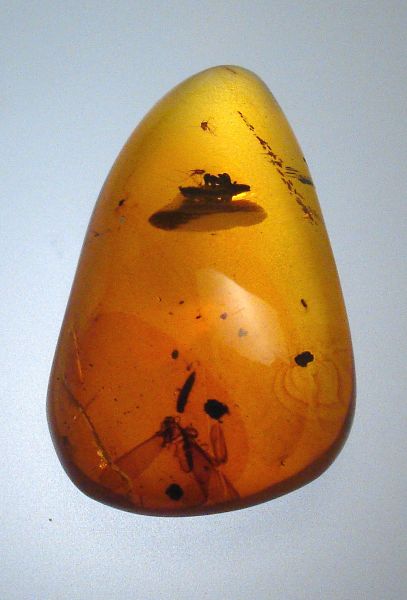 Fossil Amber with Insects - 5.70 gr.