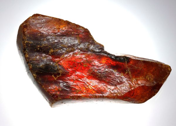 Raw Baltic Amber, 560 gm.