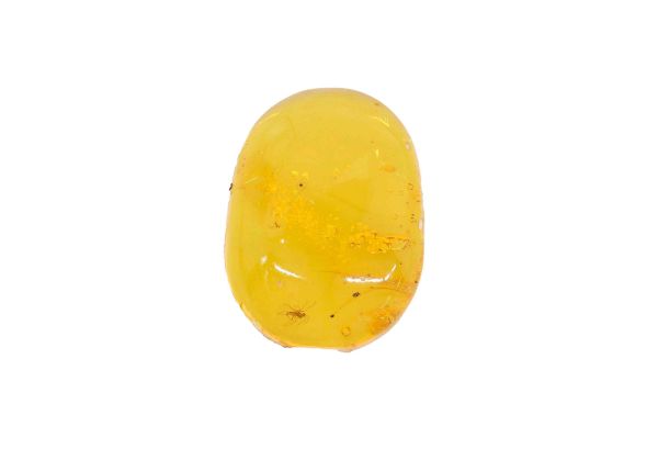 Fossil Amber with Insects - 1.31 gr.