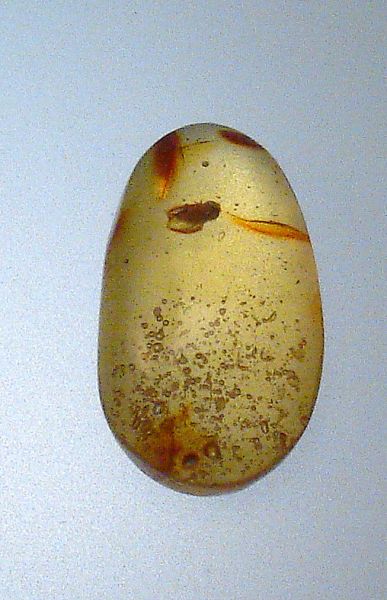 Fossil Amber with Insects - 0.87 gr.