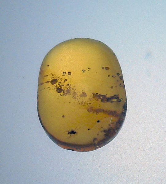 Fossil Amber with Insects: 1.31 gr.
